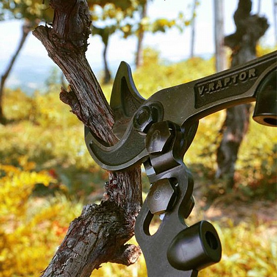 ����� �� ���� VESCO V60-80 V-RAPTOR
