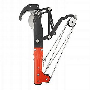 ����� ����� ����