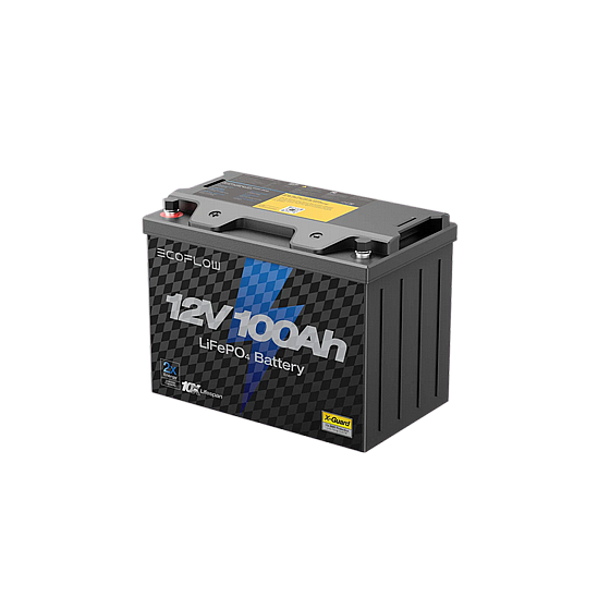 ���� ������ ECOFLOW LIFEPO4 12V 100Ah