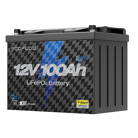 ���� ������ ECOFLOW LIFEPO4 12V 100Ah