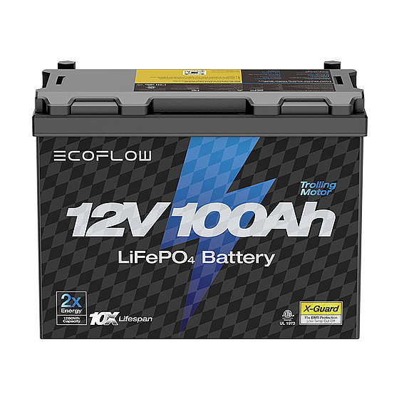 ���� ������ ECOFLOW LIFEPO4 12V 100Ah