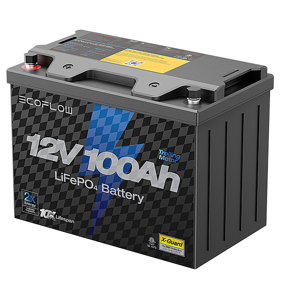 ���� ������ ECOFLOW LIFEPO4 12V 100Ah