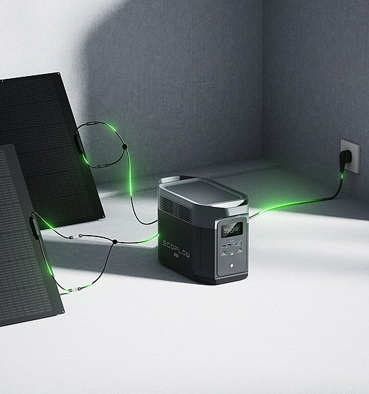 ���� �� ����� Ecoflow Delta 2 Max