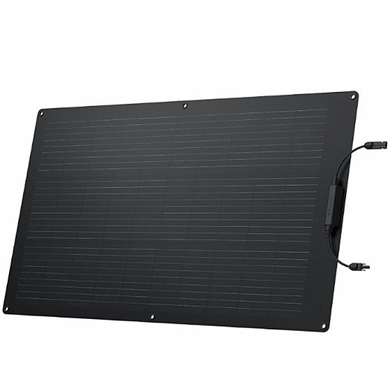 ���� ������ ���� ECOFLOW100, ���� 100W