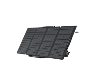 ���� ������ ����� ECOFLOW160 ��� NEXTGEN