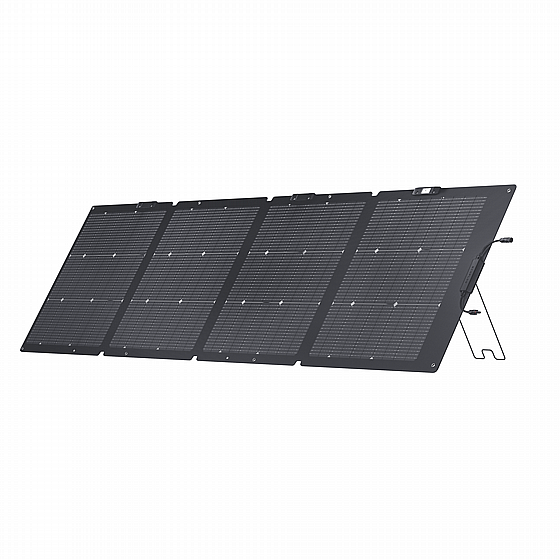 ���� ������ ����� ECOFLOW 220W 