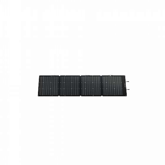 ���� ������ ����� ECOFLOW 220W 