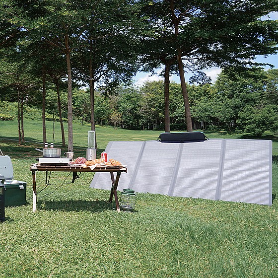 ���� ������ ����� ECOFLOW400, ���� 400W