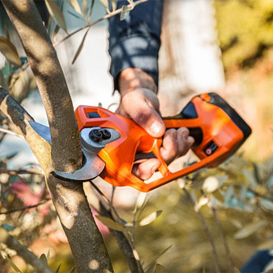 ����� ����� STOCKER TITANIA E40 ����� 40 �"�