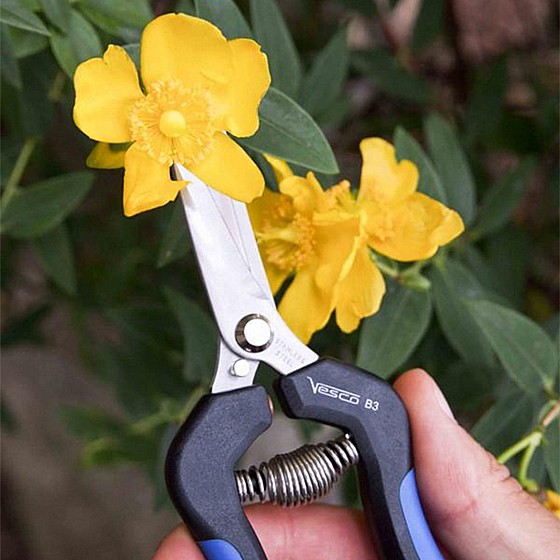 ����� ��� �������  VESCO ���� 19 �"� ��� ����