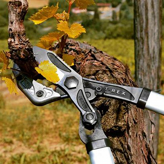 ����� �� ���� ��� ���� 100 �"�  VESCO T-REX t20  